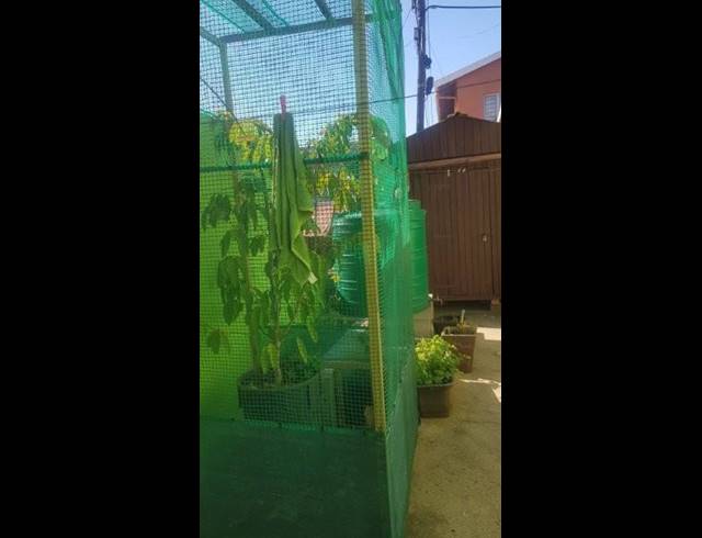 3 BEDROOM HOUSE FOR SALE IN SOUTHGATE